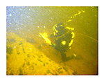 Dive Survey